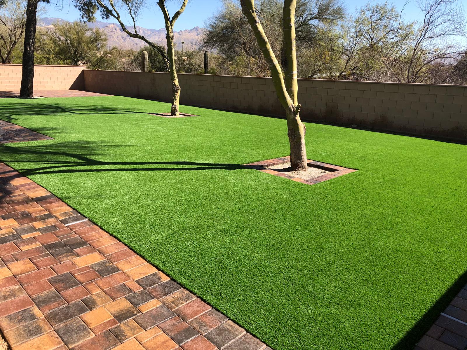 Artificial grass yard with brick paver walkway and tree borders in Phoenix Arizona